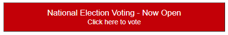 DSA Vote Now Button