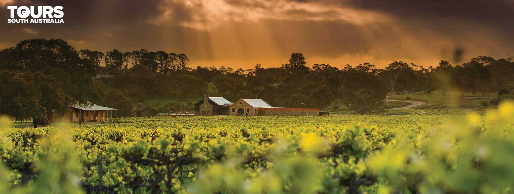 Visit the Barossa Valley