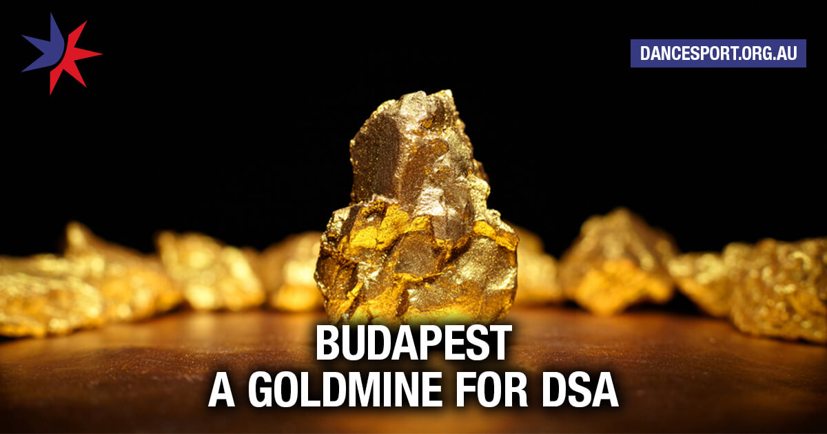 Budapest meeting a goldmine for DSA